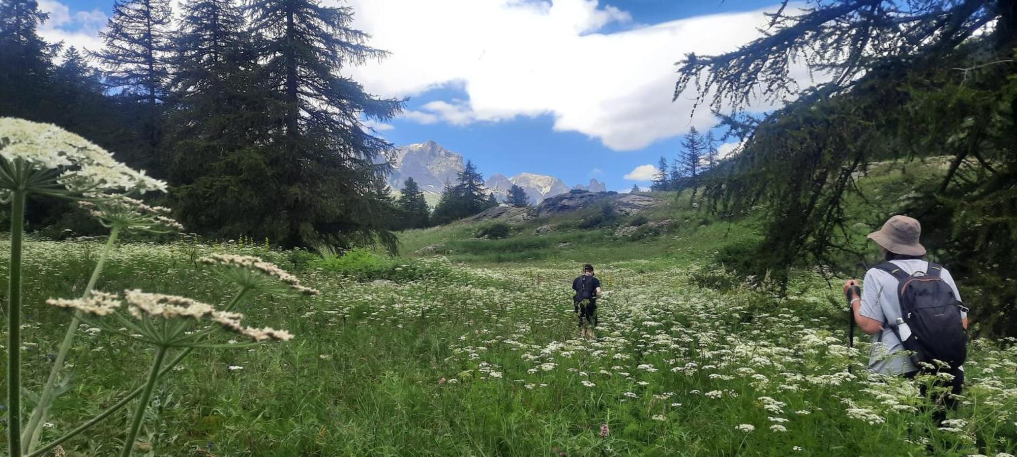 Superbe T2 A 2 Pas Des Pistes Et Des Sentiers De Randonnee Daire Briançon Dış mekan fotoğraf
